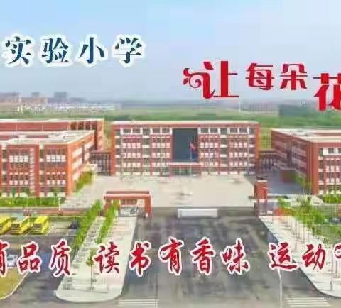 垦利区第三实验小学2020级2班研学旅行之黄河口湿地篇