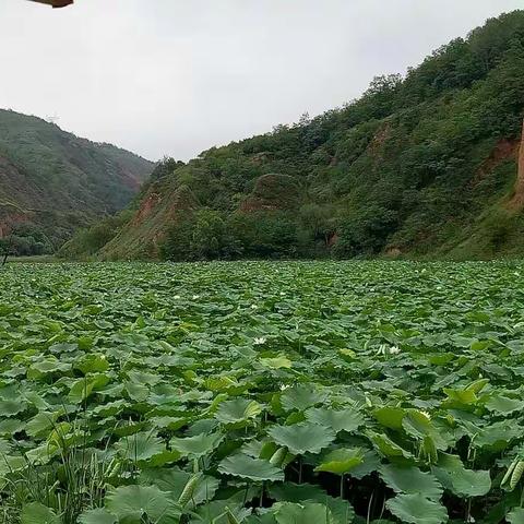 来一场说走就走的旅行。😃