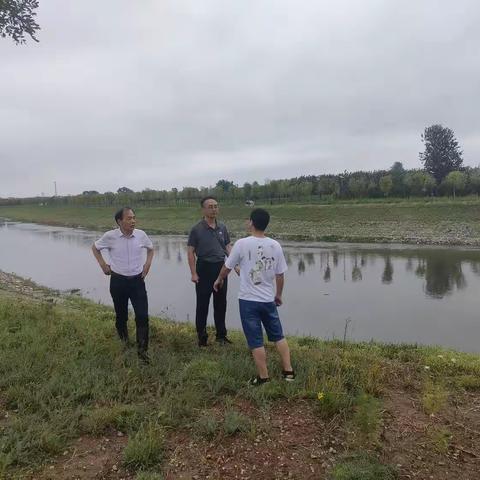城区组开展强降雨后水利工程运行检查