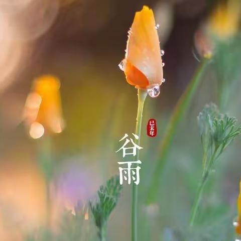 谷雨过后再无寒，人间芳菲已向暖       ——【嘉能】清扫消毒记