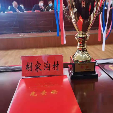 和谐与发展通行，平安与幸福相伴—大峪沟镇胡家沟村2020年度总结表彰大会