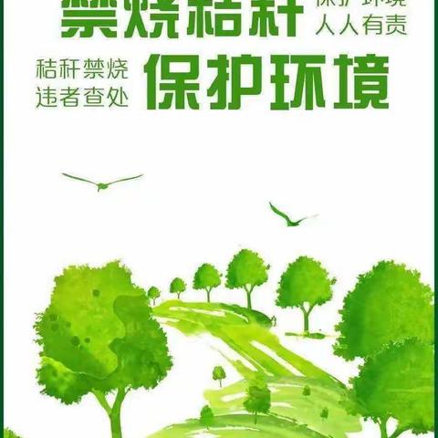 禁烧秸秆呵护蓝天 齐心共筑美丽家园－－杨店乡中心学校秸秆禁烧倡议书