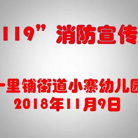 “119”消防宣传日