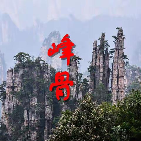 高山君的美篇