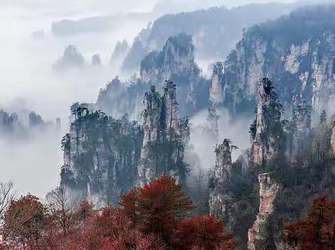 世界，请记住张家界此时的静