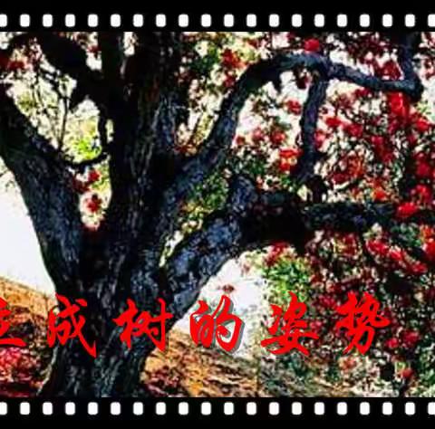 峰骨回声的美篇