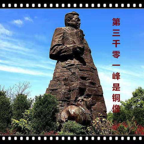 高山菌的美篇