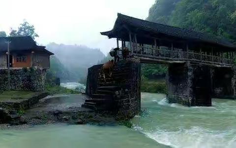寻找苏木绰