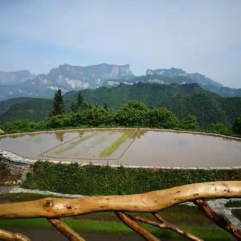 一片土地的醒来