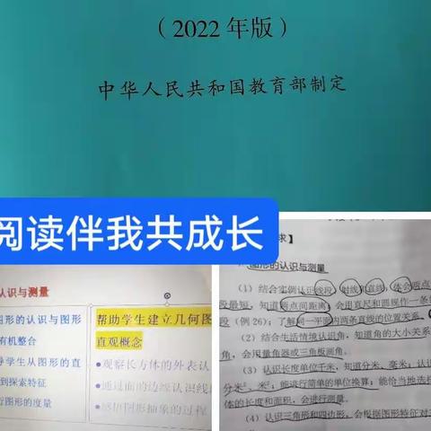 聚焦新课标   引领新课堂一一小学数学新课标阅读