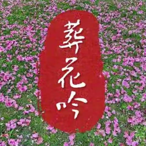 葬花吟•落红惊心