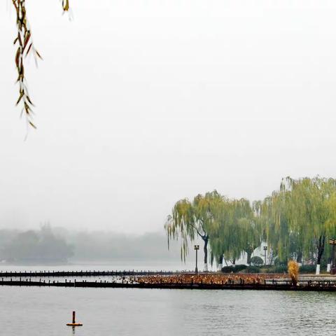 初冬访柳大明湖