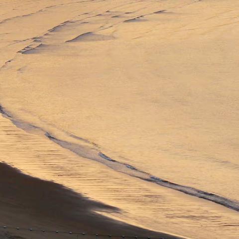 就这样与它们不期而遇