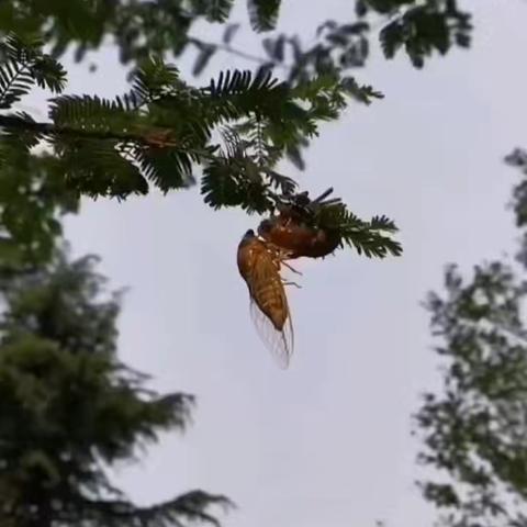 离起飞只差一步