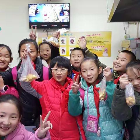 快乐体验，甜蜜收获