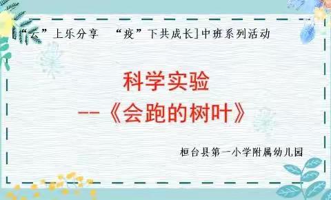 【“云”上乐分享 “疫”下共成长】科学实验～《会跑的树叶》