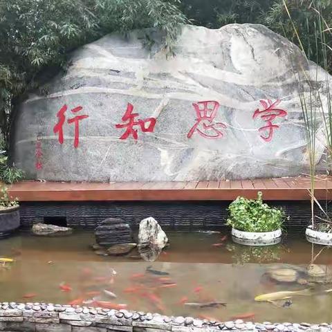 赴后小第三期学习