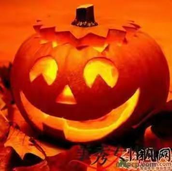 唯美食不可辜负！新疆南瓜篇