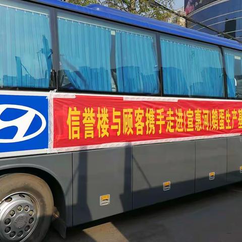 沧州信誉楼第二届宣惠河鹅蛋顾客体验活动剪影