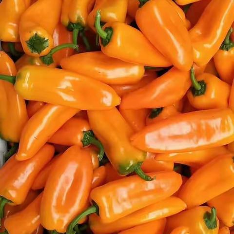 沧州信誉楼为您推荐，可以当水果吃的彩椒。