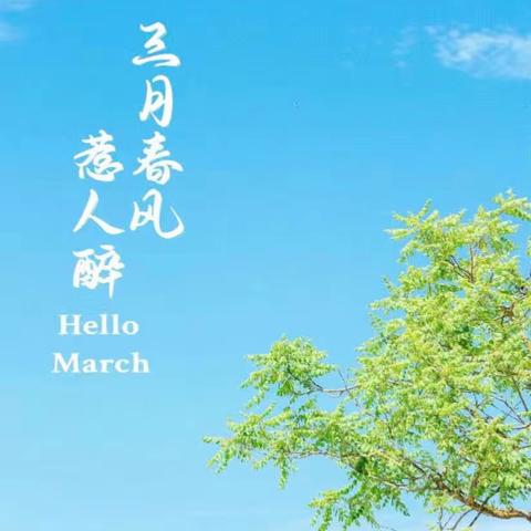 春🈵️三月，遇见美好——杜小六一班三🈷️总结