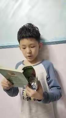 寒假作业   阅读