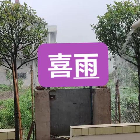 喜雨