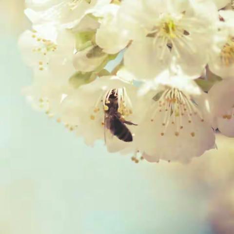 家访，架起沟通的桥梁——陵园小学一年级家访工作纪实