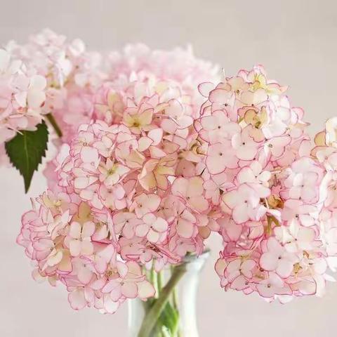 关注学生心理    促进健康成长                          ——牧野区心理健康课观摩研讨会