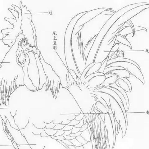 2023春国画二级班