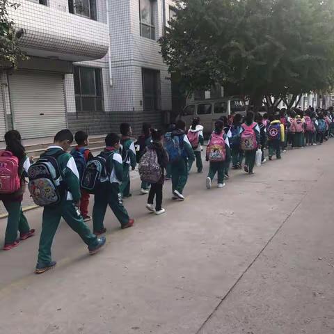 美丽的校园