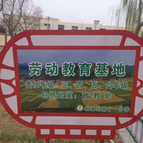 “以劳树德，以劳育美”——记四年级校内劳动教育基地实践活动（播种篇）