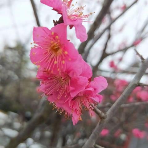 展巾帼风采     携健康同行