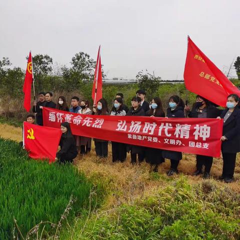 家国又清明，鲜花献英烈