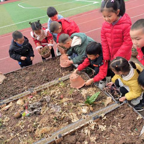 泄幼大班——第三周学习与工作纪实