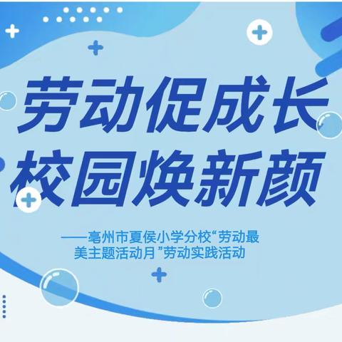 劳动促成长 校园焕新颜——亳州市夏侯小学分校开展“劳动最美主题活动月”劳动实践活动