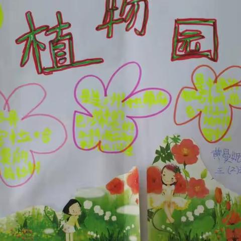 三（2）班“手抄报”比赛
