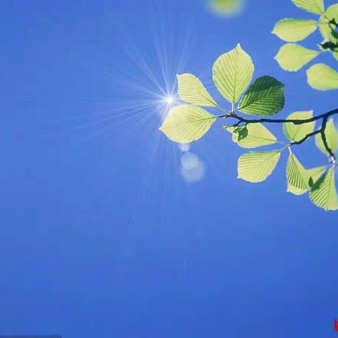 “快乐习作   快乐生活”作文竞赛————五(2）班获奖习作