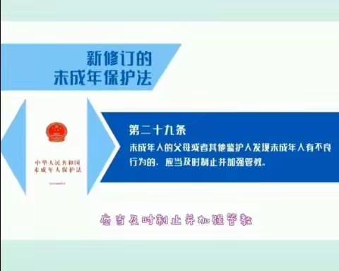 蒲东街道中心学校小学部 未成年人保护