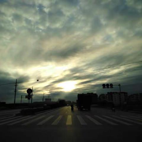 清明去看黄花铃木树，凋零闭锁确合情，寄托对已故亲人的思念！