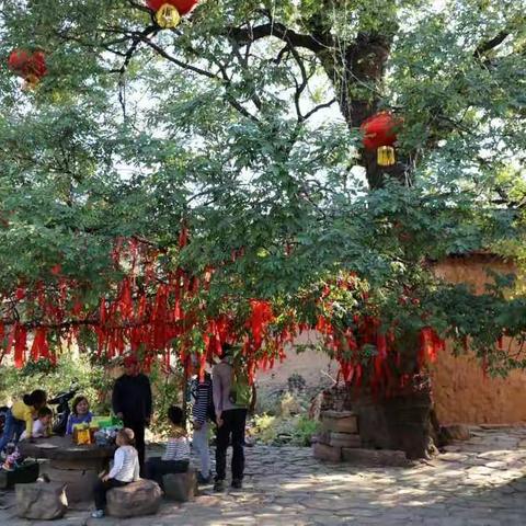 探古村  绘生活    童悦未来美学           五一写生营
