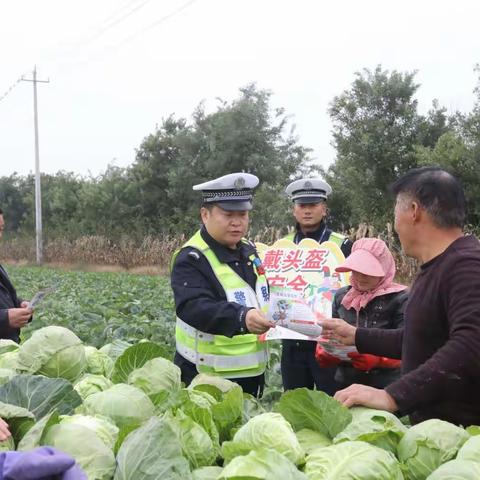 澄城公安交警10月重点亮点工作