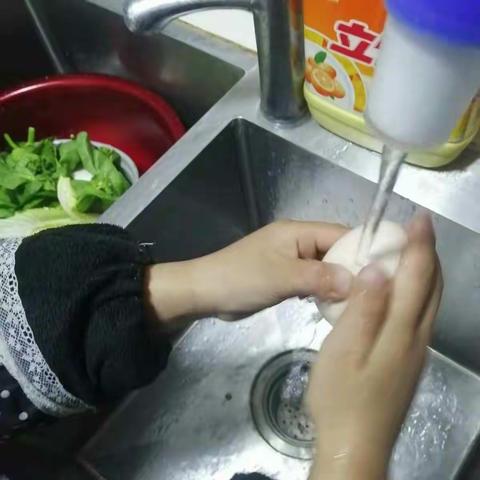 陪伴是最长情的告白建始县一年级八班智君怡保护飞毛毛的一天