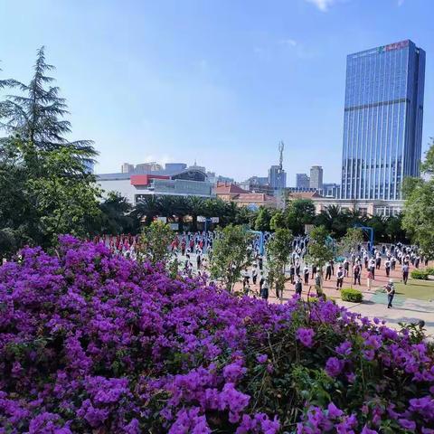 “以研促教，教学相长”-5月14日理化生组教研活动