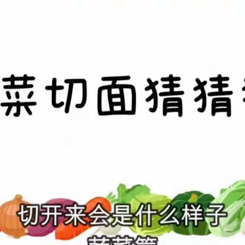 《和蔬菜宝宝做游戏》