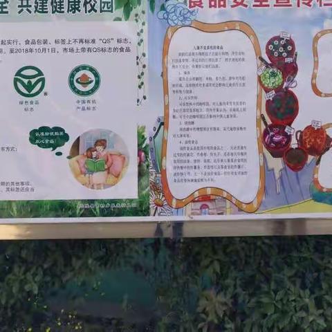 新星晨光幼儿园今日美食分享