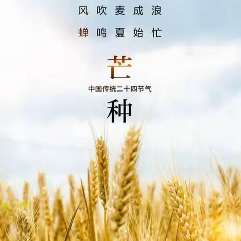 《芒种·快乐》