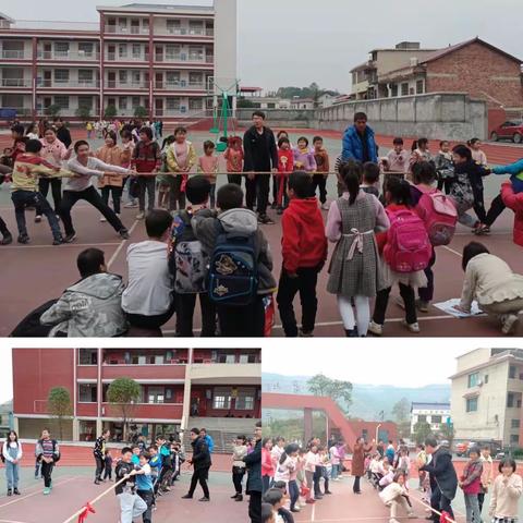 落实“双减”多彩课堂，魅力无限绽放