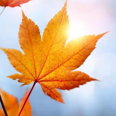 我与秋天有个约会—机关幼儿园车站园月亮一班