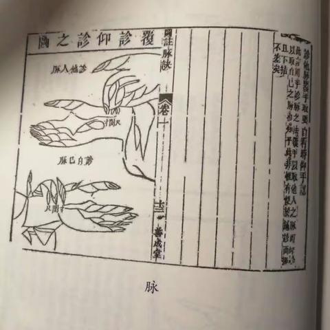 池阳小学2020暑假“微阅读”